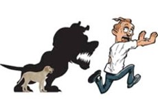  Chien colonne sensibilisation à lapproche canine